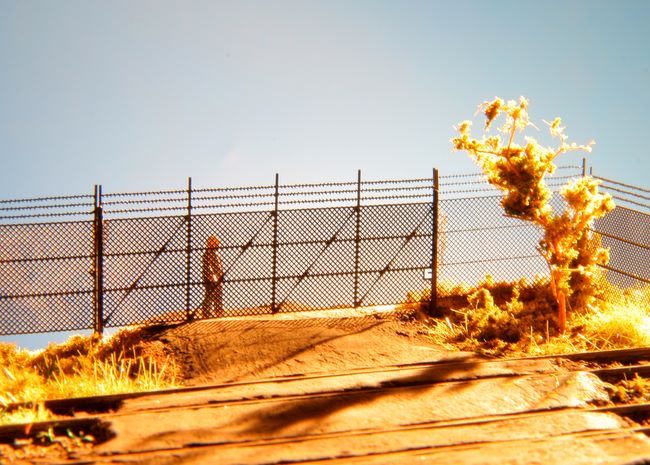 Brána k drátěnému plotu 4m